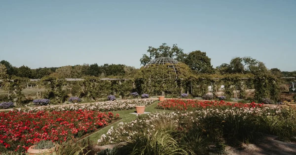 Guide d'Achat des Meilleurs Traîneaux de Jardin