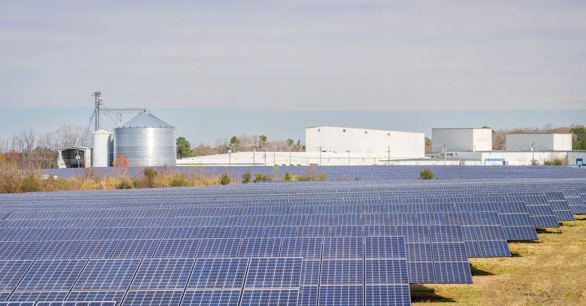 Solutions d'énergie renouvelable : Guide d'achat complet